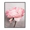 Stupell Industries Blooming Vintage Peony Framed Giclee Wall Art Design by Sisi and Seb